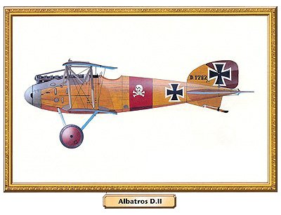 Albatros DII