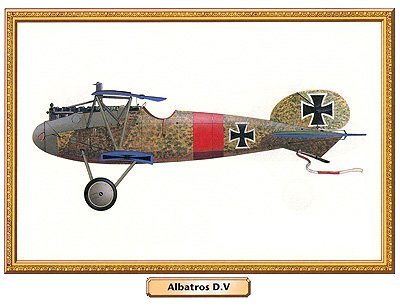 Albatros DV