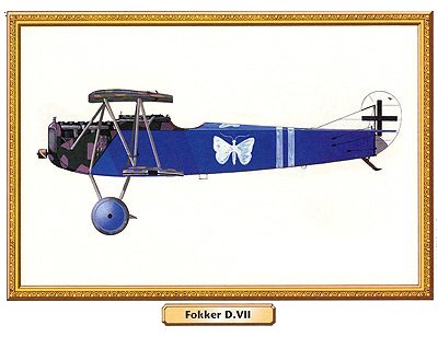 Fokker DVII