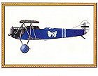 Fokker DVII