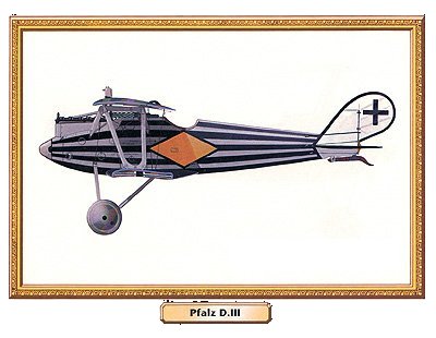 Pfalz DIII