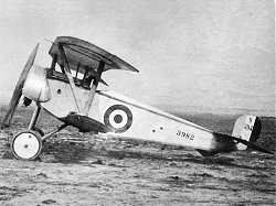 Nieuport-Macchi 11