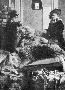 Donne impegnate nella raccolta di pellicce per i soldati al fronte