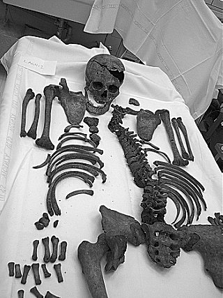 Uno degli scheletri rinvenuti a Magnaboschi