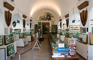 MUSEO NAZIONALE STORICO DEGLI ALPINI 