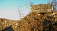 Bunker austriaco alle Rive del Tagliamento (foto Marco Pascoli)
