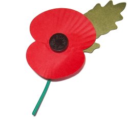 Il papavero, simbolo del "Remembrance Day"