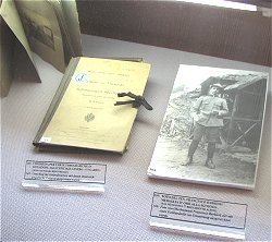reperti esposti al Museo di Punta Serauta