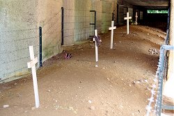 La Trincea delle Baionette